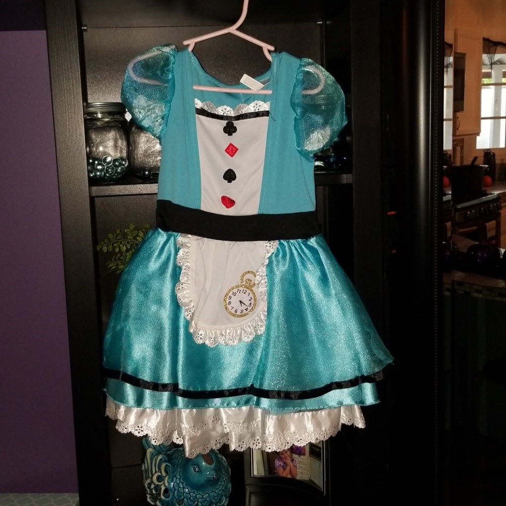 Alice in Wonderland Dress costume